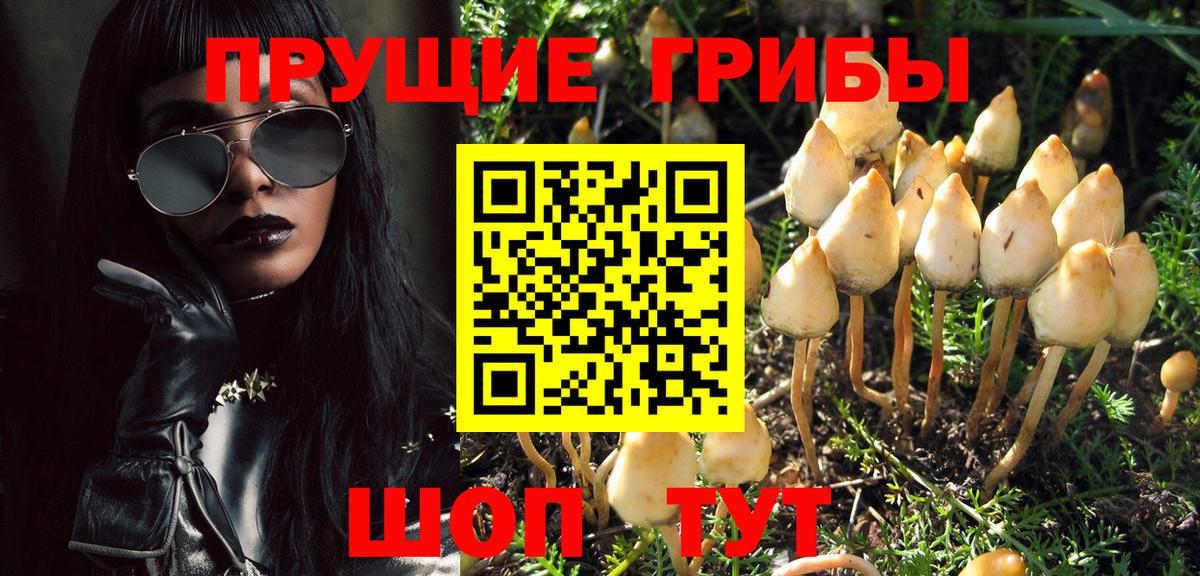 Галлюциногенные грибы MAGIC MUSHROOMS Иваново
