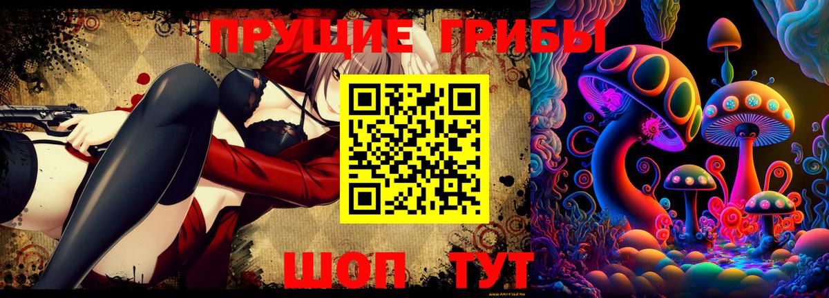 Иваново  Галлюциногенные грибы Psilocybine cubensis  Вход с VPN  Галлюциногенные грибы MAGIC MUSHROOMS 